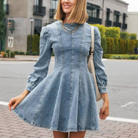 Denim Darling Mini Dress
