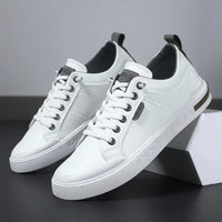 BELNOR TRAINERS