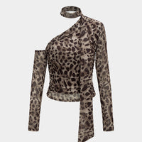 Mesh Leopard Print Asymmetrical Long-Sleeve Top