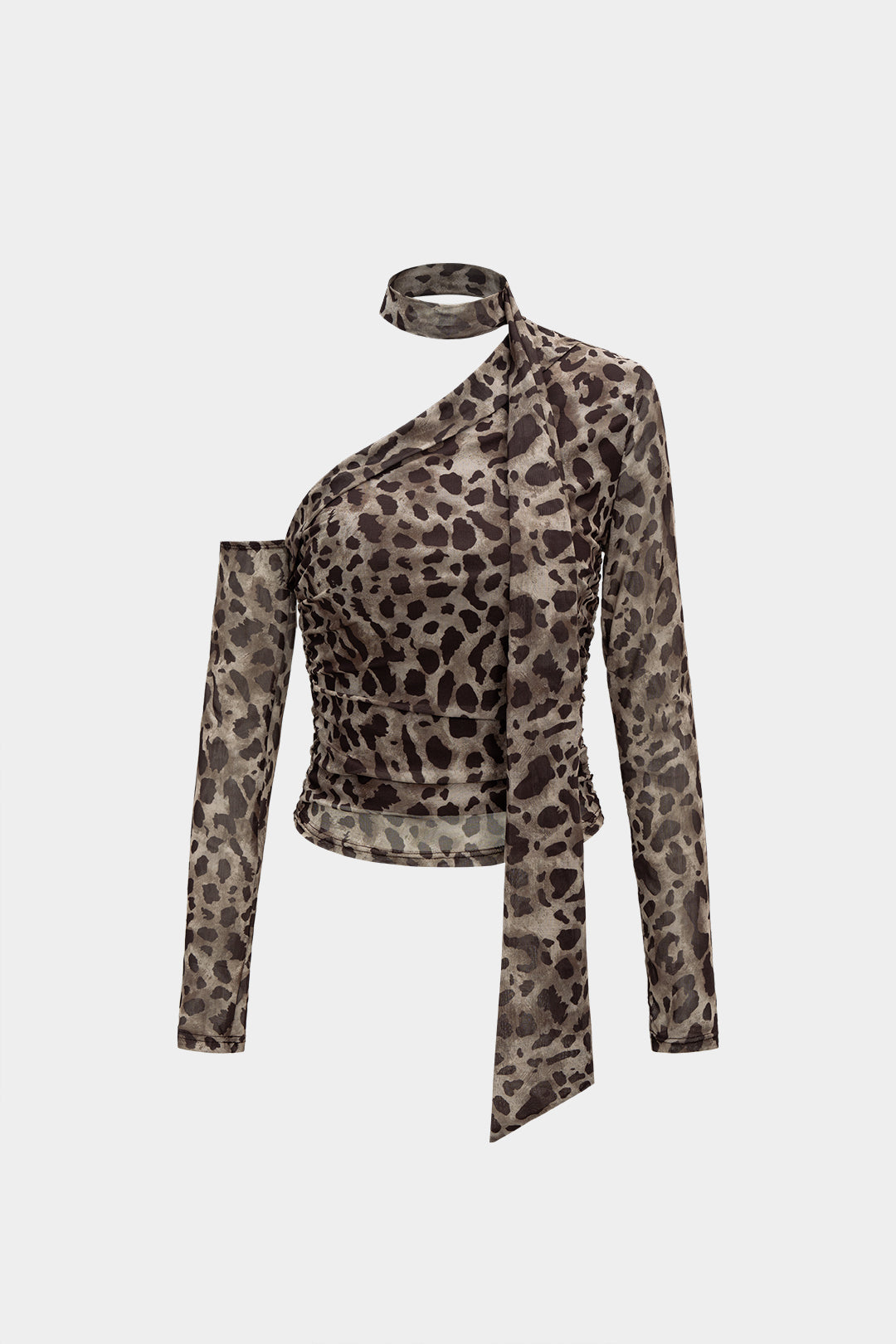 Mesh Leopard Print Asymmetrical Long-Sleeve Top