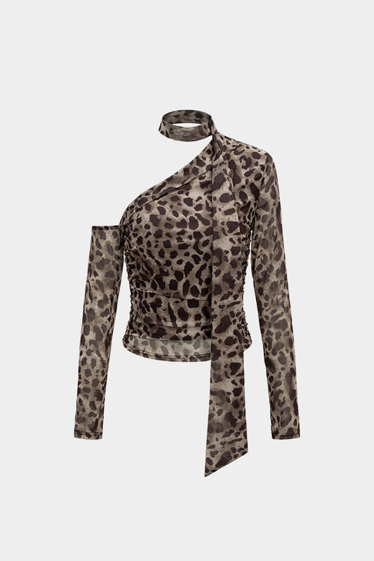Mesh Leopard Print Asymmetrical Long-Sleeve Top